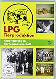 LPG Tierproduktion - Arbeitsalltag in der Genossenschaft