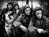 Vier Panzersoldaten und ein Hund [7 DVDs] - 3
