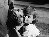 Harras, der Polizeihund (DDR TV-Archiv) - 13